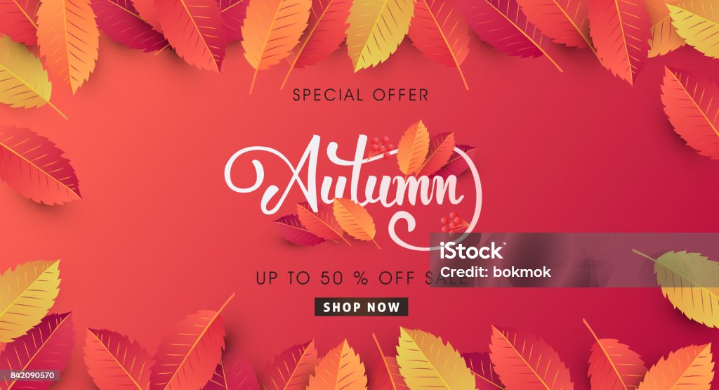 AUTUMN 09 Autumn sale background layout decorate with leaves for shopping sale or promo poster and frame leaflet or web banner.Vector illustration template. Autumn stock vector