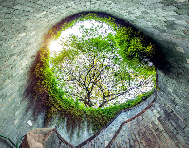 istock Fort Canning Park, Singapore. 842090900
