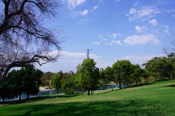 istock One summer day sky in the park. 842094024