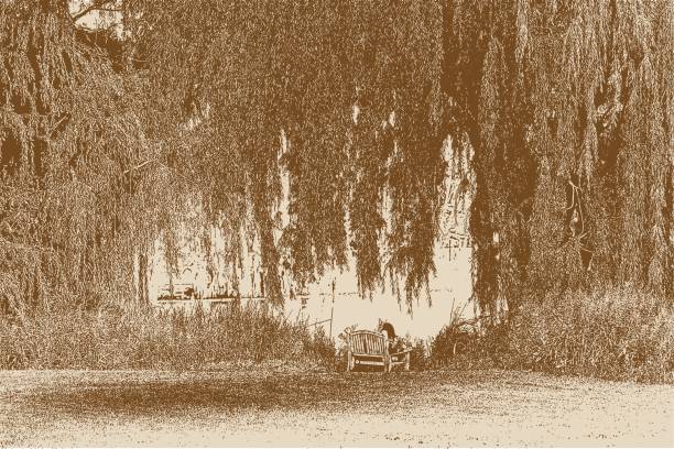 ilustraciones, imágenes clip art, dibujos animados e iconos de stock de joven descansando sobre un banco bajo un árbol de sauce - willow leaf weeping willow willow tree tree