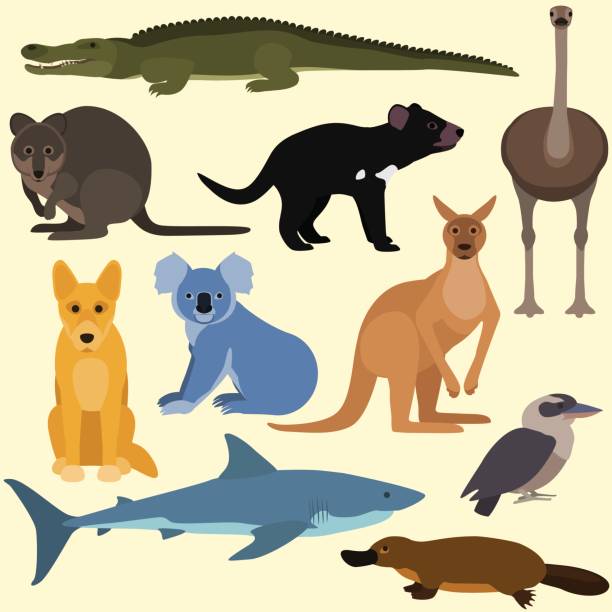 illustrazioni stock, clip art, cartoni animati e icone di tendenza di set di cartoni animati animali australiani. - tasmanian animals