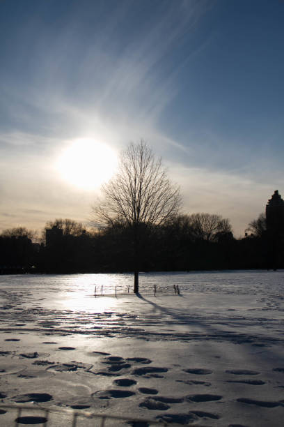 istock A silhouette tree on snow field with footsteps and the sun before sunset at Central Park in winter 842104630