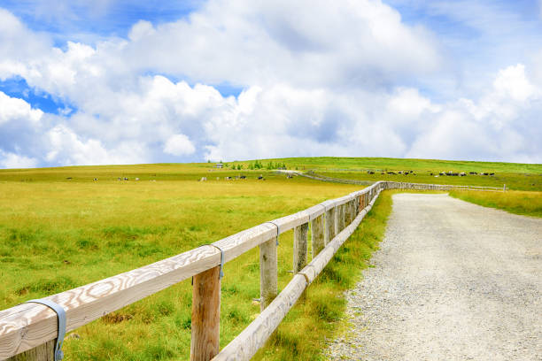 Scenery of the plateau. Nagano Prefecture in Japan. Utsukushigahara plateau.