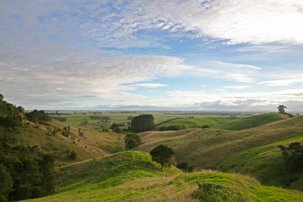 istock Waikato rural scene 842112642