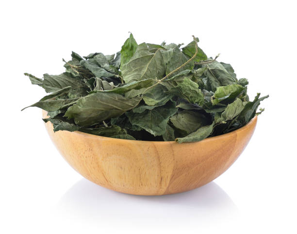 istock Jiaogulan ,Gynostemma pentaphyllum in wood bowl on white background 842113044
