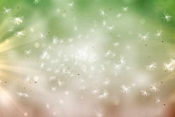 Digitally generated dandelion seeds floating on green background