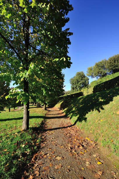 istock Footpath in the Autumn Park 842133612
