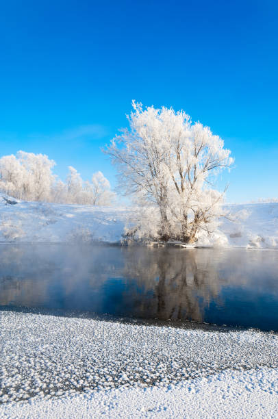istock winter, winter-tide, winter-time 842140534