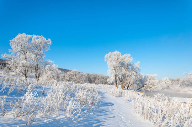 istock winter, winter-tide, winter-time 842140584