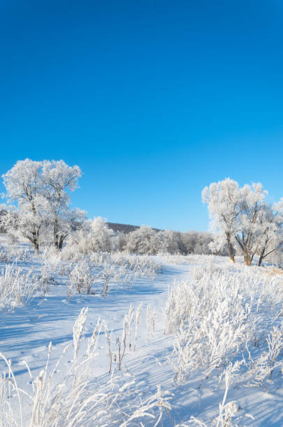 istock winter, winter-tide, winter-time 842140588