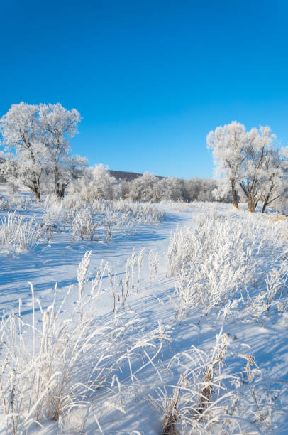 istock winter, winter-tide, winter-time 842140598