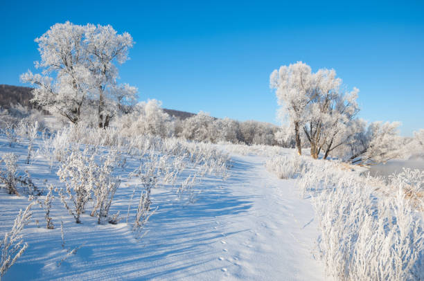 istock winter, winter-tide, winter-time 842140638