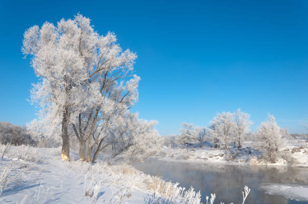 istock winter, winter-tide, winter-time 842140676