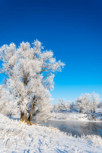 winter, winter-tide, winter-time