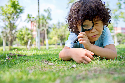 istock Little boy with magnifying glass in park 842144572