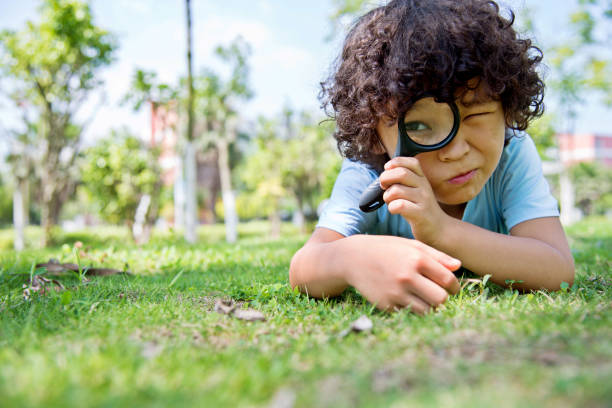 mały chłopiec z lupą w parku - equipment magnifying glass glass science zdjęcia i obrazy z banku zdjęć