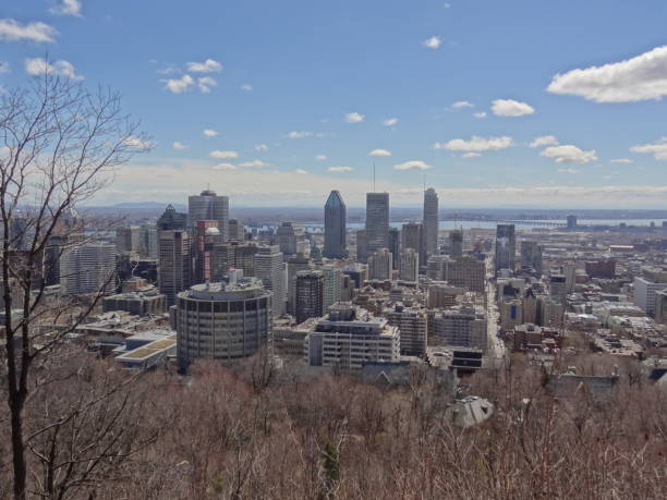 istock View of Montreal Town from Mont Royal forest 842145100