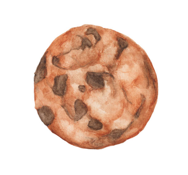 illustrations, cliparts, dessins animés et icônes de aquarelle de cookies aux pépites de chocolat isolé sur fond blanc - chocolate chip cookie cookie preparing food chocolate