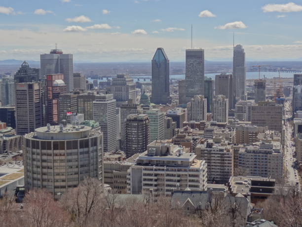 istock View of Montreal Town from Mont Royal forest 842145152