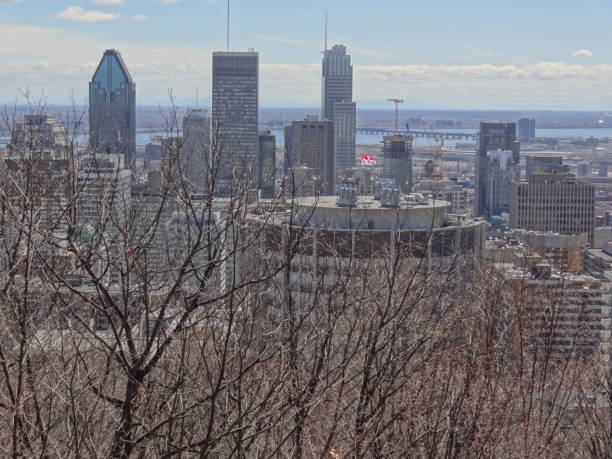 istock View of Montreal Town from Mont Royal forest 842145230
