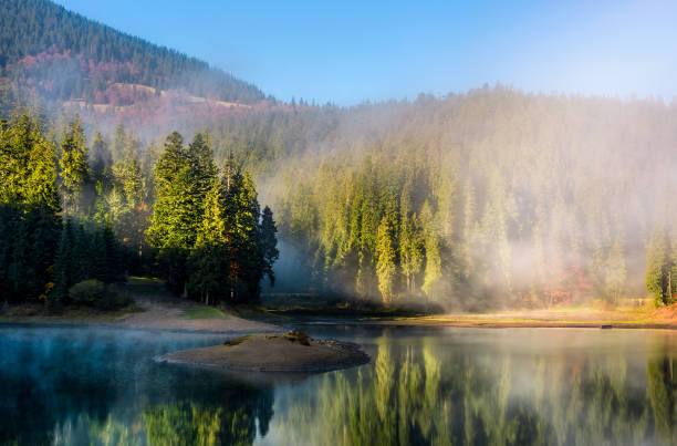 istock mountainous lake in foggy forest 842148128
