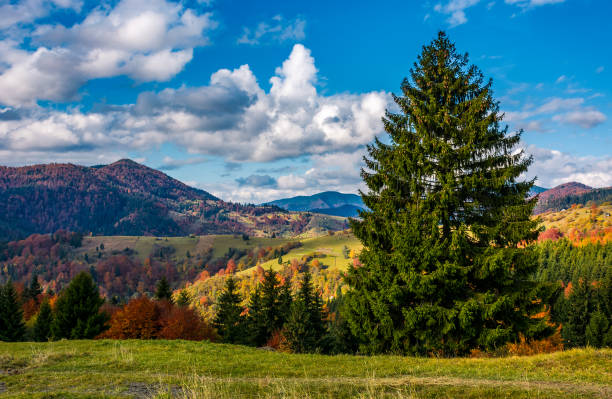 istock magnificent mountainous landscape in autumn 842148462
