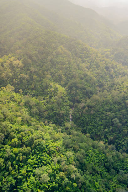 istock Aerial view of the forest 842148674