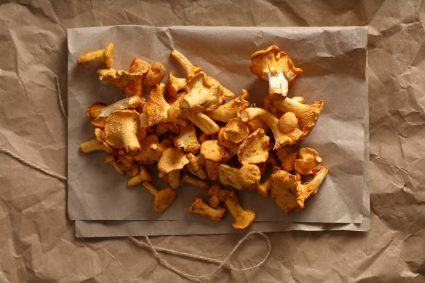 istock Fresh chanterelle mushrooms top view, food 842149182