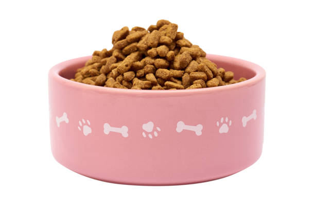 istock dry pet food in bowl isolated on white background 842149200
