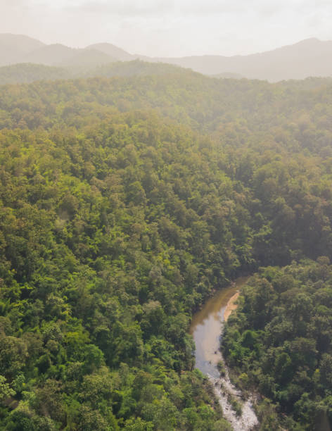 istock Aerial view of the river in forest 842149236