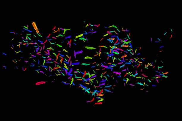 istock Many feathers blowing in the breeze 842151762