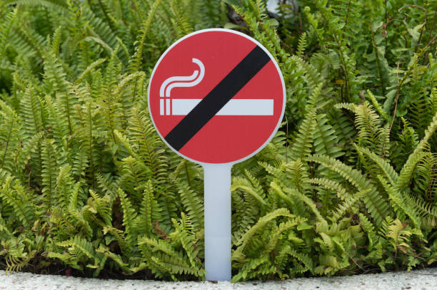 istock no smoking sign with green background 842151930