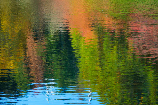 Autumn colours reflected in rippled lake