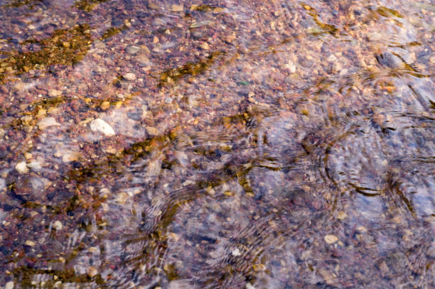 istock texture of water in river with sandy bottom. background, nature. 842157110