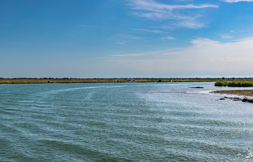 traveling in the river rhone delta in the camargue