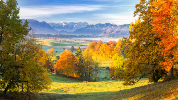 autunno in bavarese con zugspitze in background - xxl panorama - zugspitze mountain lake autumn germany foto e immagini stock