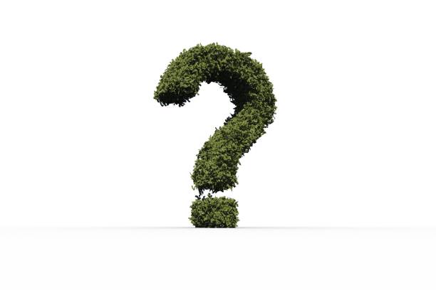 istock Question mark made of leaves 842162718