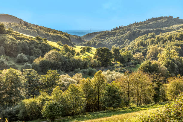 風光明媚な stettbacher ドイツの森林地域オーデンヴァルトのタル - odenwald ストックフォトと画像