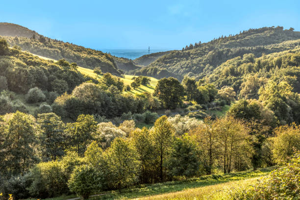 scenic stettbacher Tal in the german forest region Odenwald view to scenic stettbacher Tal in the german forest region Odenwald odenwald photos stock pictures, royalty-free photos & images