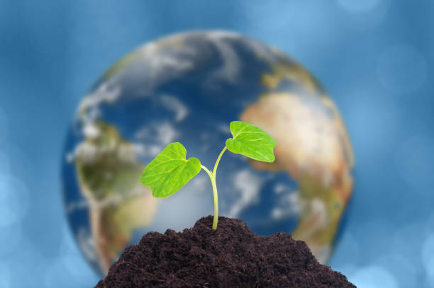 A sprout grows in soil. Our planet Earth is on background. Ecology concept. Elements of this image furnished by NASA (https://visibleearth.nasa.gov/)