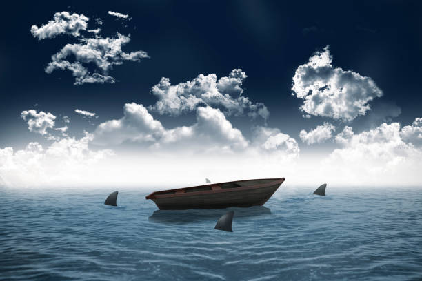 istock Sharks circling small boat in the sea 842166786