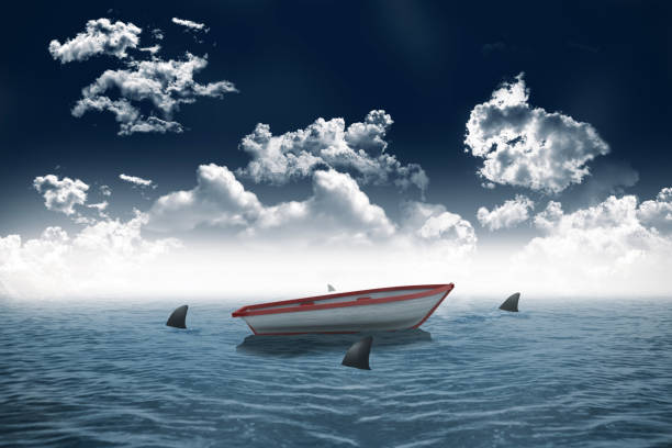istock Sharks circling small boat in the sea 842166788
