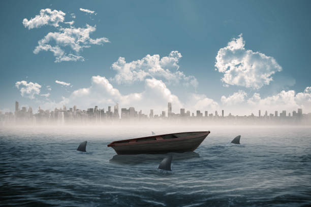 istock Sharks circling a small boat in the sea 842166892