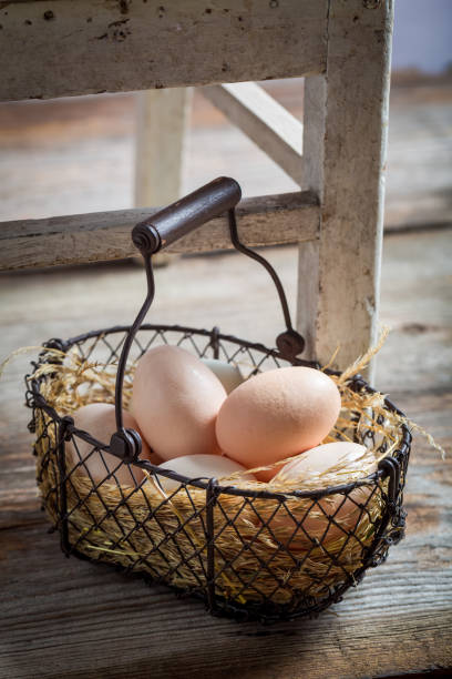 istock Healthy free range eggs from the farm 842167440