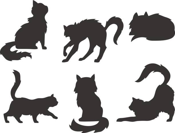 ilustrações, clipart, desenhos animados e ícones de desenhos animados silhuetas dos gatos, mão desenhada vetor ícones de ilustração, preto sobre fundo branco - hairy