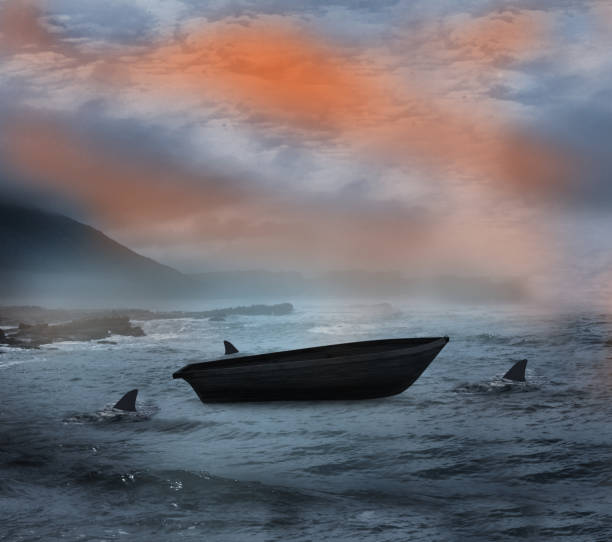 Sail boat being circled by sharks at night