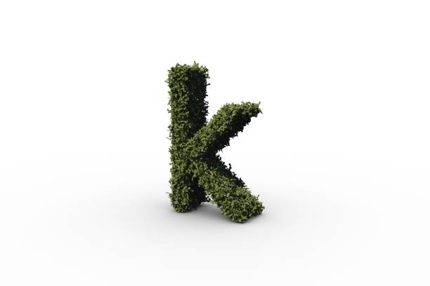 istock Lower case letter k made of leaves 842180900