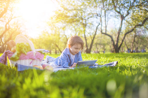 istock Boy uses digital tablet at picnic at public park 842184554