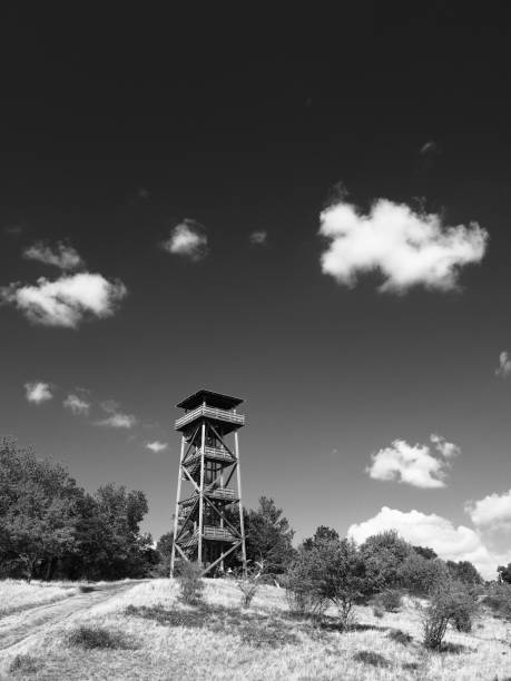 istock Low angle view stairs black and white outlook 842192364