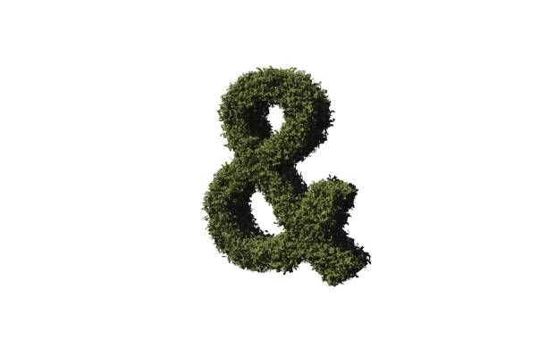 istock Ampersand made of leaves 842192776